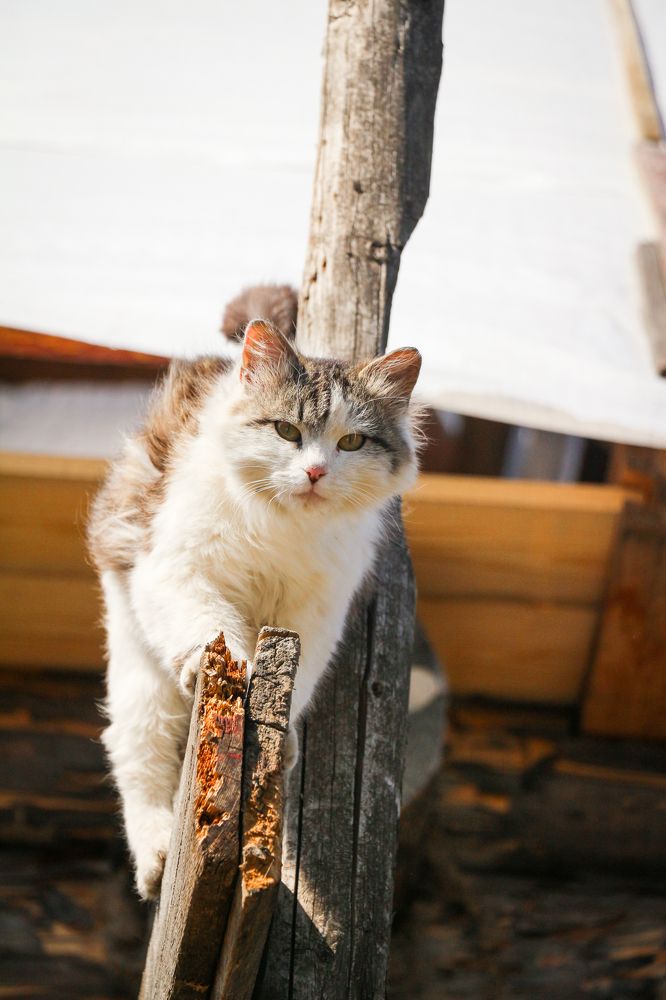 Photograph by Алексей Сентюрин