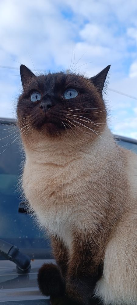 Photograph by Лариса