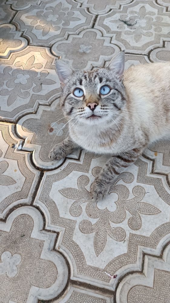 Photograph by Лариса