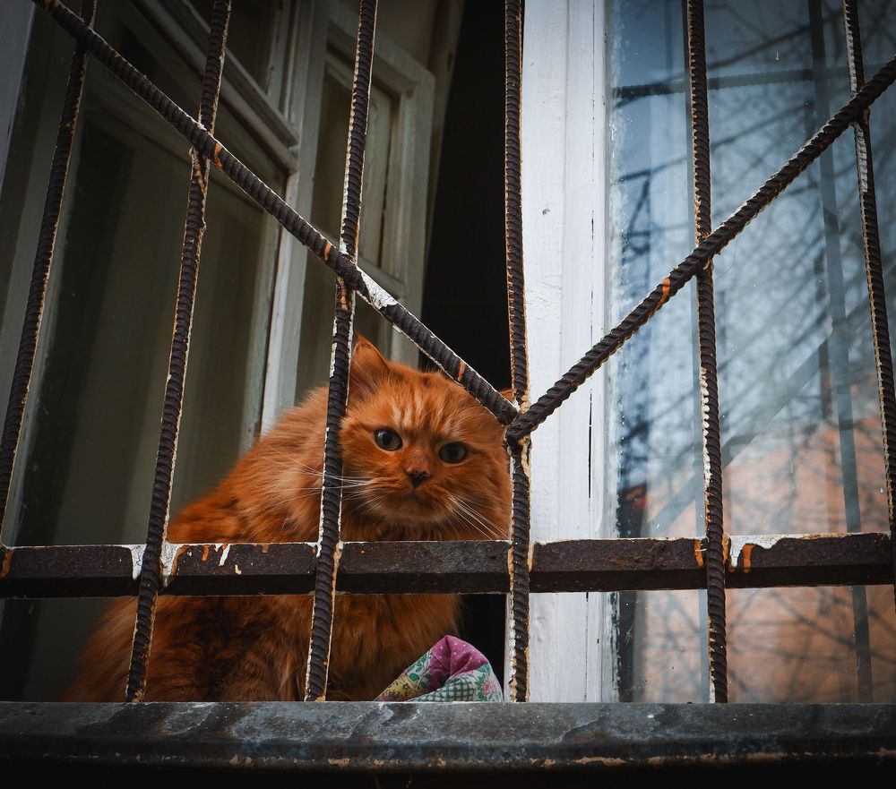 Photograph by Лазарев Евгений