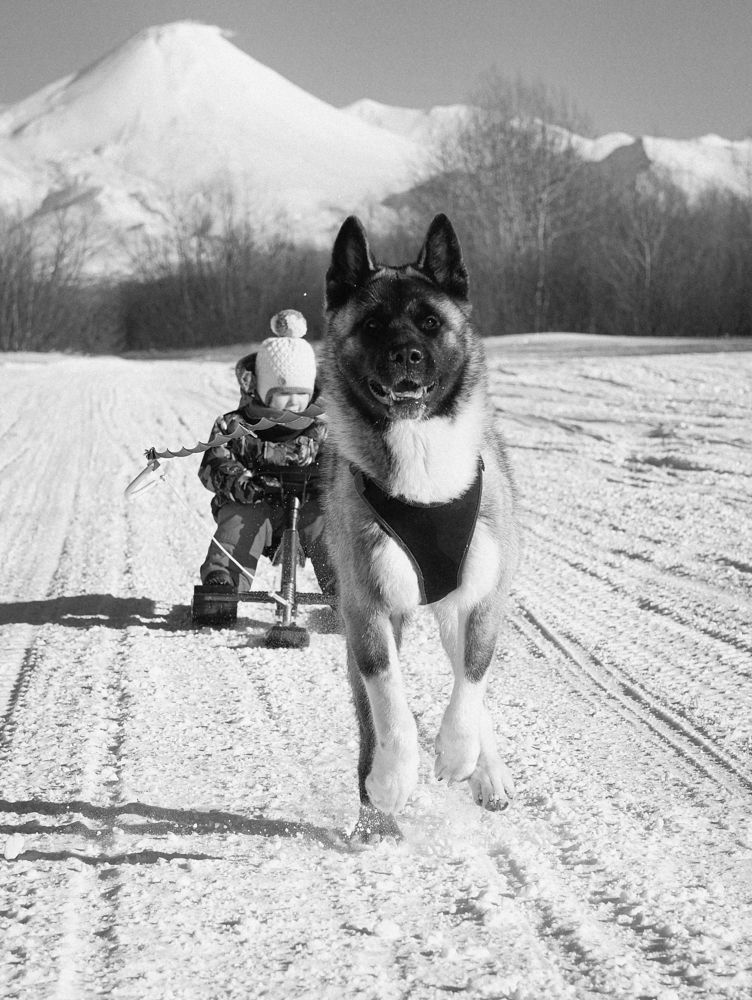 Photograph by Екатерина Швец