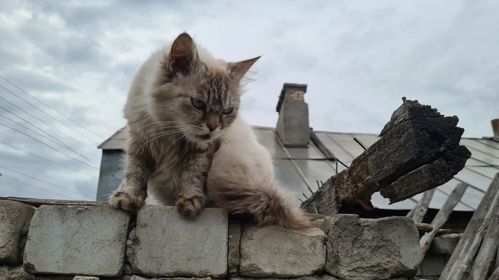 Photograph by Анастасия Маклакова