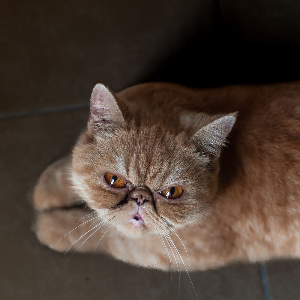 Photograph by Armando López-Guerrero