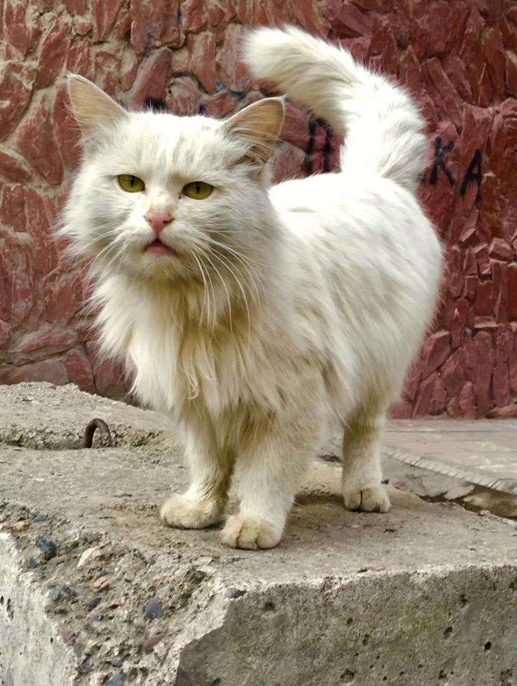 Photograph by Елена Ким