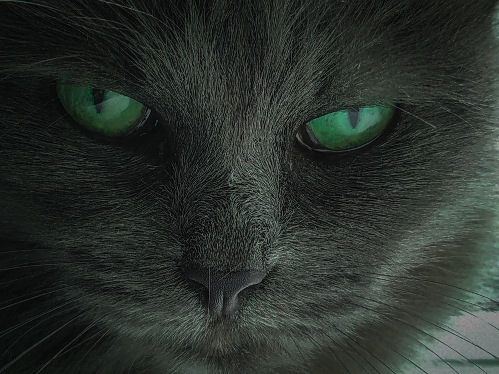 Photograph by Александра Петрова