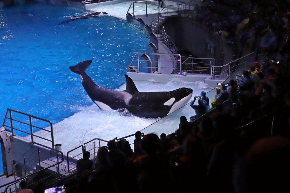 Photograph by Любовь Перевозникова