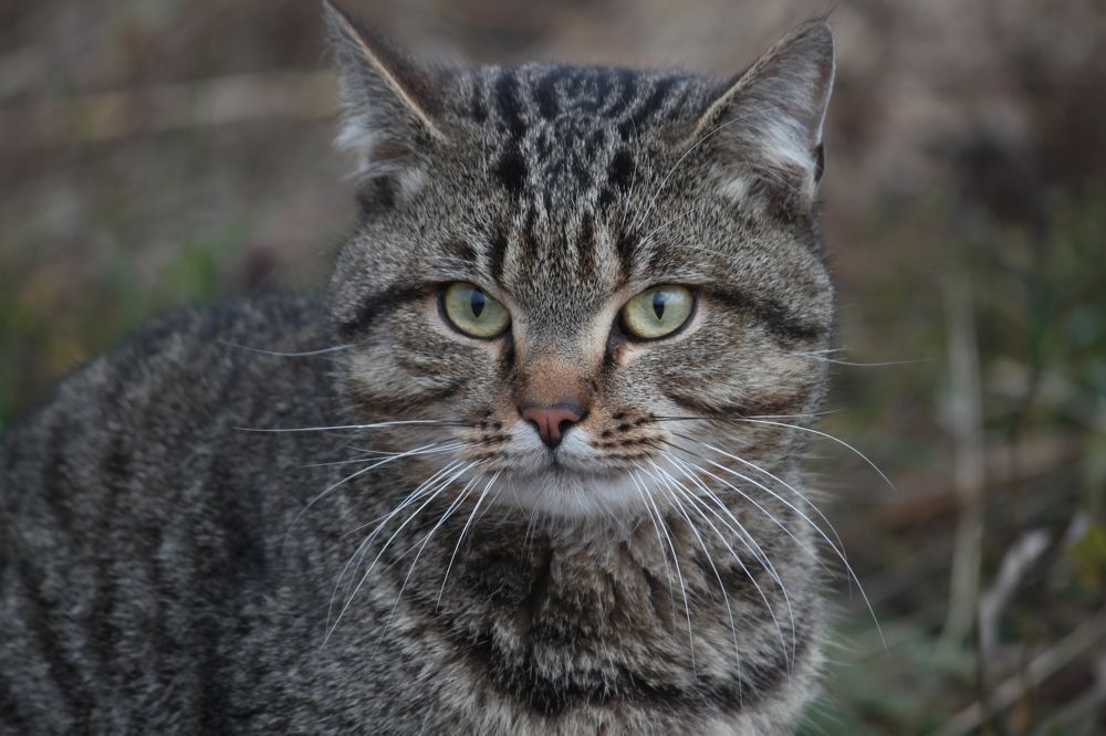 Photograph by Владислав Капанов