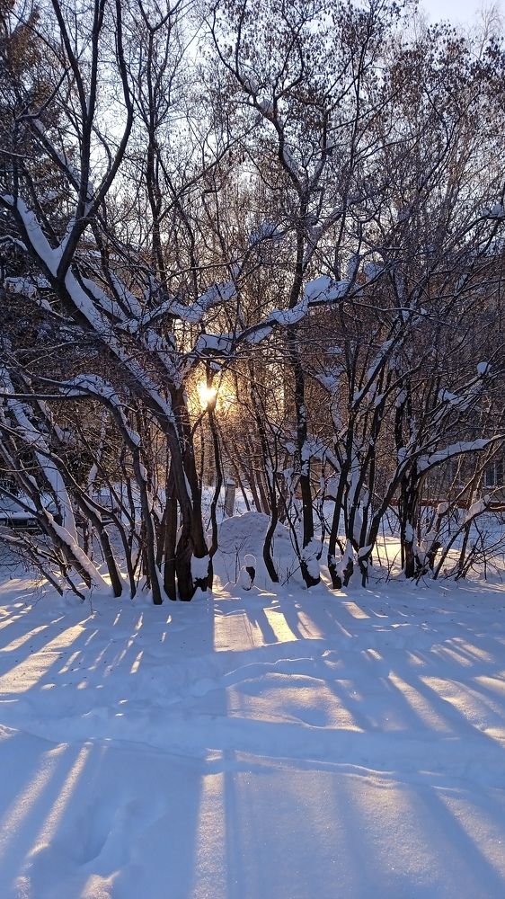 Photograph by Жанна Цветкова