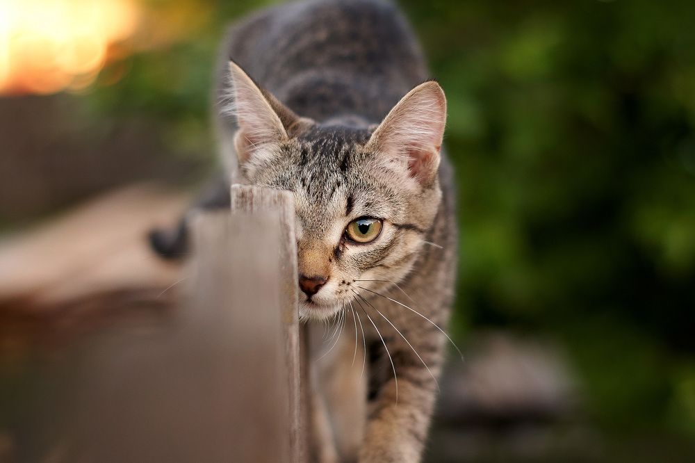 Photograph by Надежда Емельянова