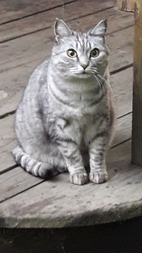 Photograph by Елена Алешкевич