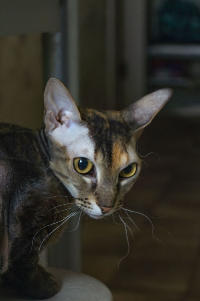 Photograph by Марина Максимюк