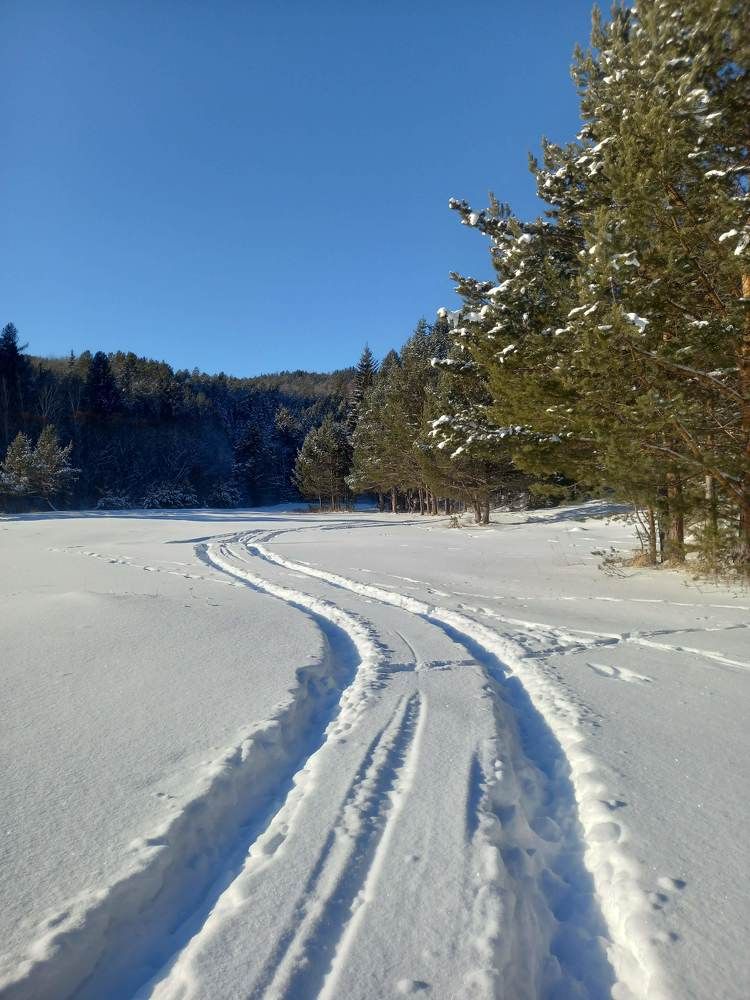 Фотография автора Ирина Бордачева
