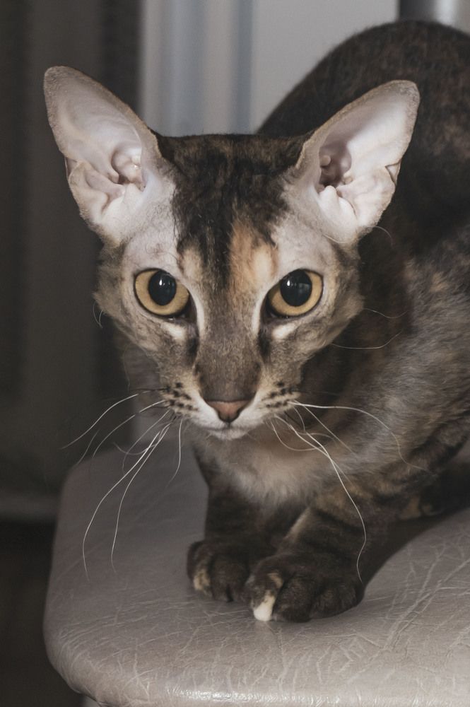 Photograph by Марина Максимюк