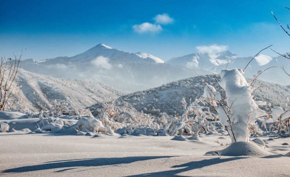 Photograph by Konstantin