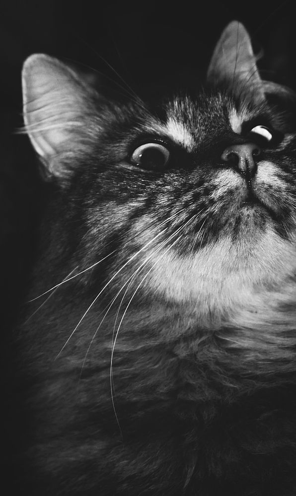 Photograph by Екатерина Гордеева