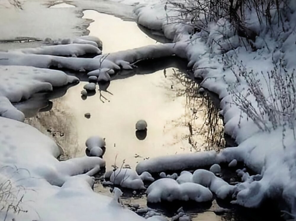 Photograph by Ирина Килина