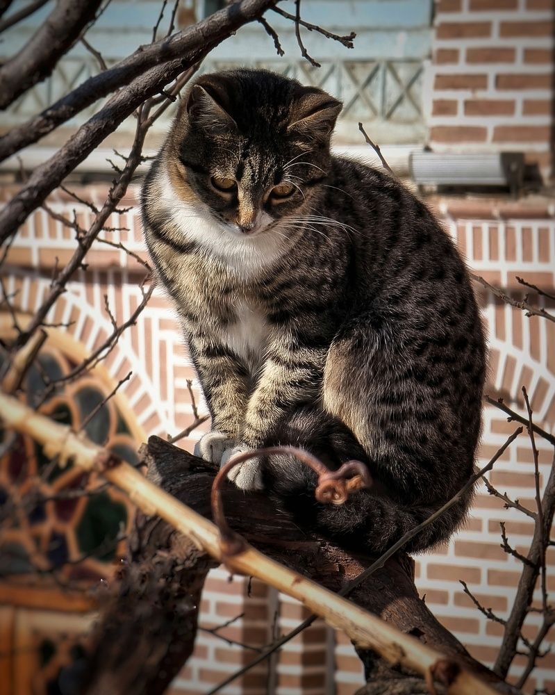 Photograph by Farid Ashtin