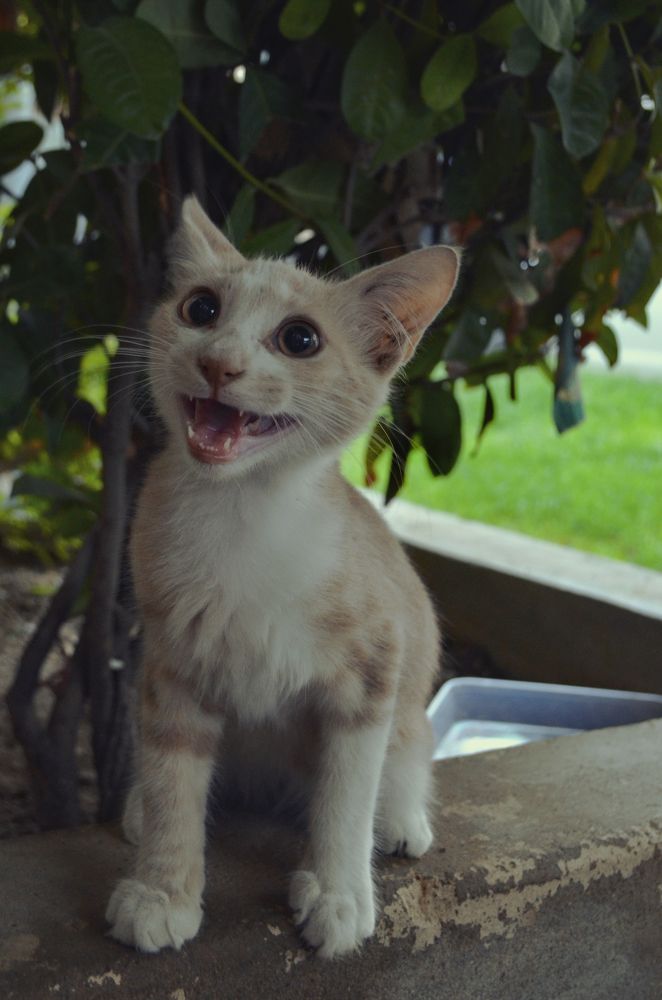 Photograph by SHAHZAD KAZMI