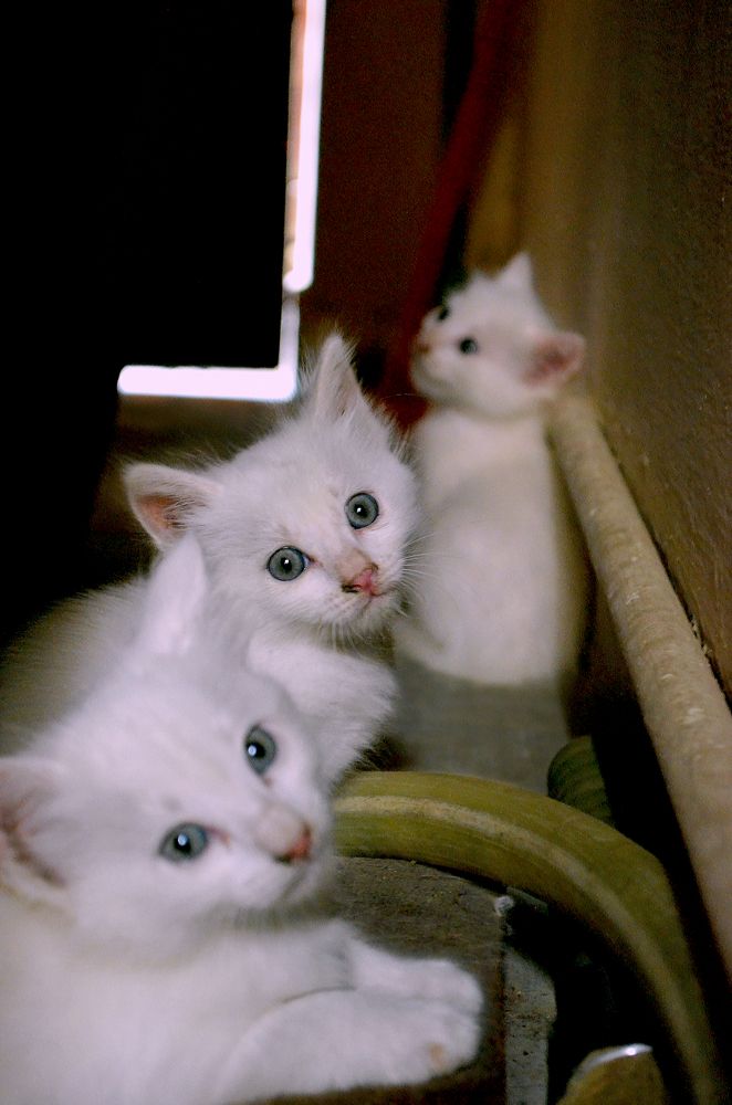 Photograph by SHAHZAD KAZMI