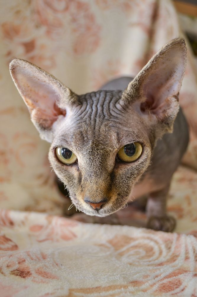 Photograph by Елена Иванова