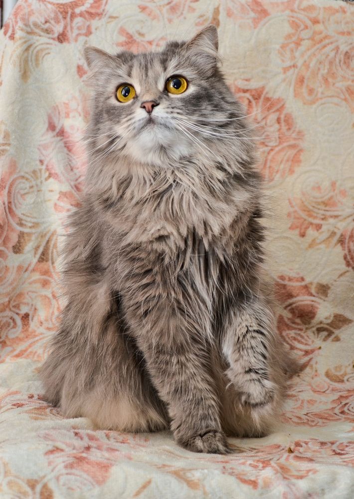 Photograph by Елена Иванова