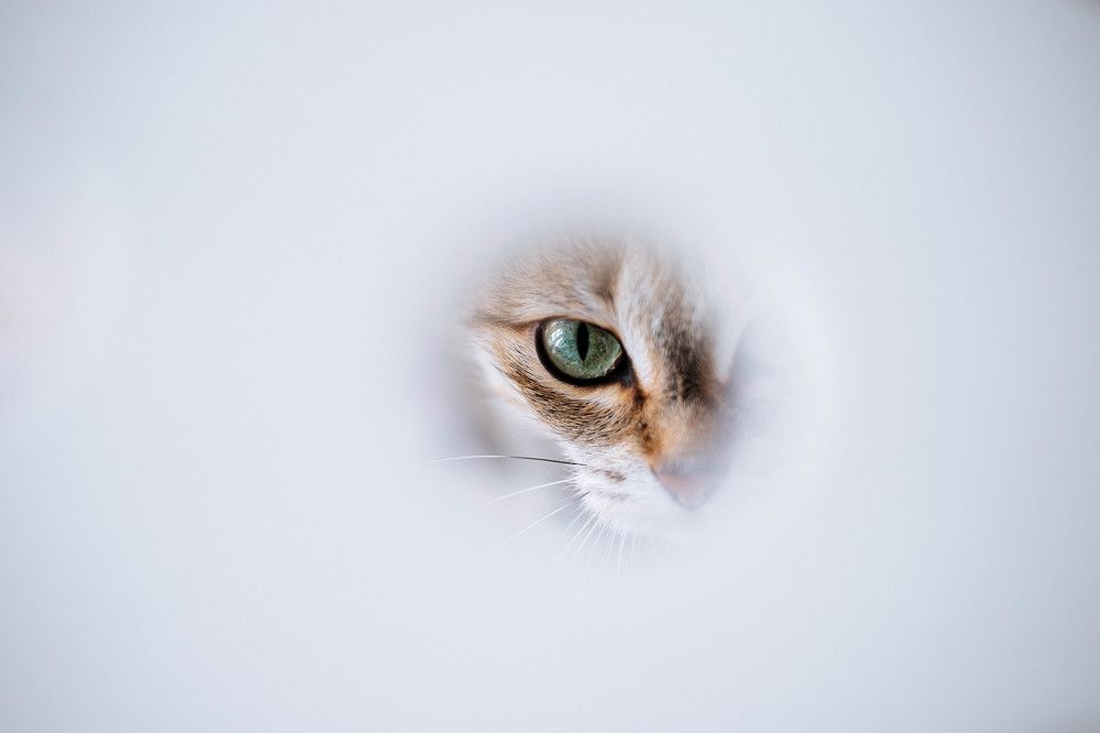 Око Саурона