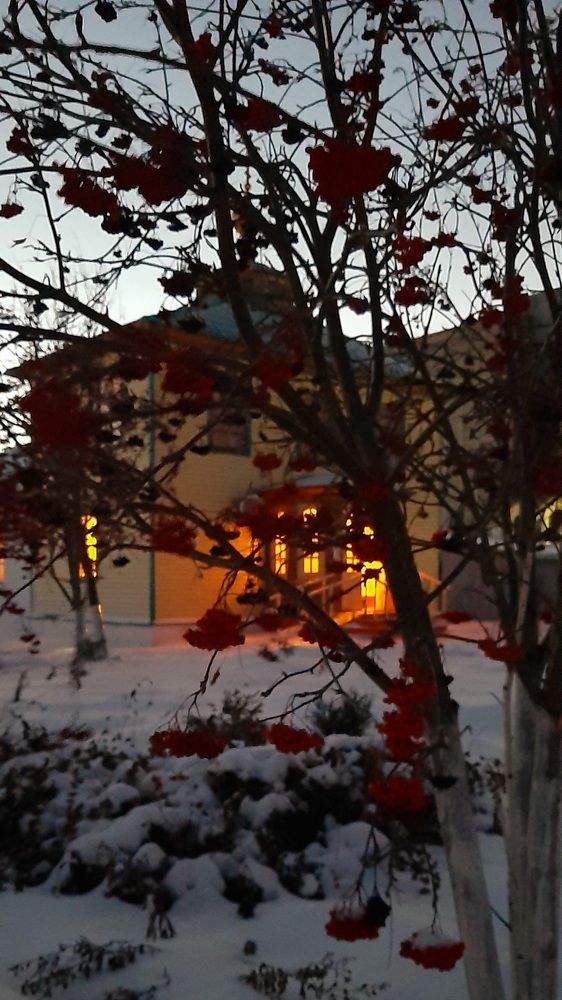 Photograph by Ирина Ахметова