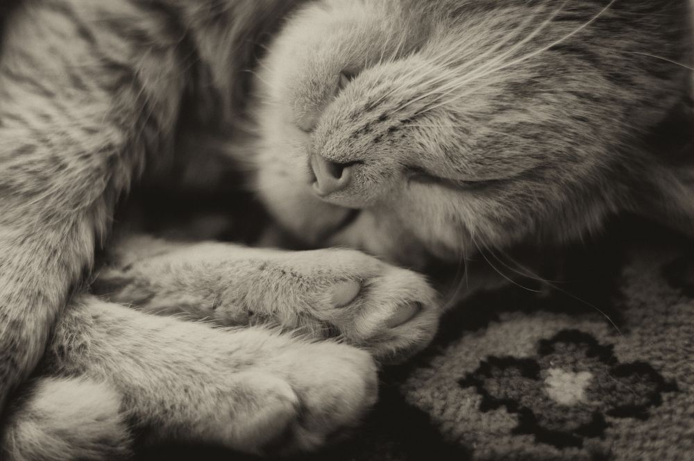 Photograph by Николай Захаров