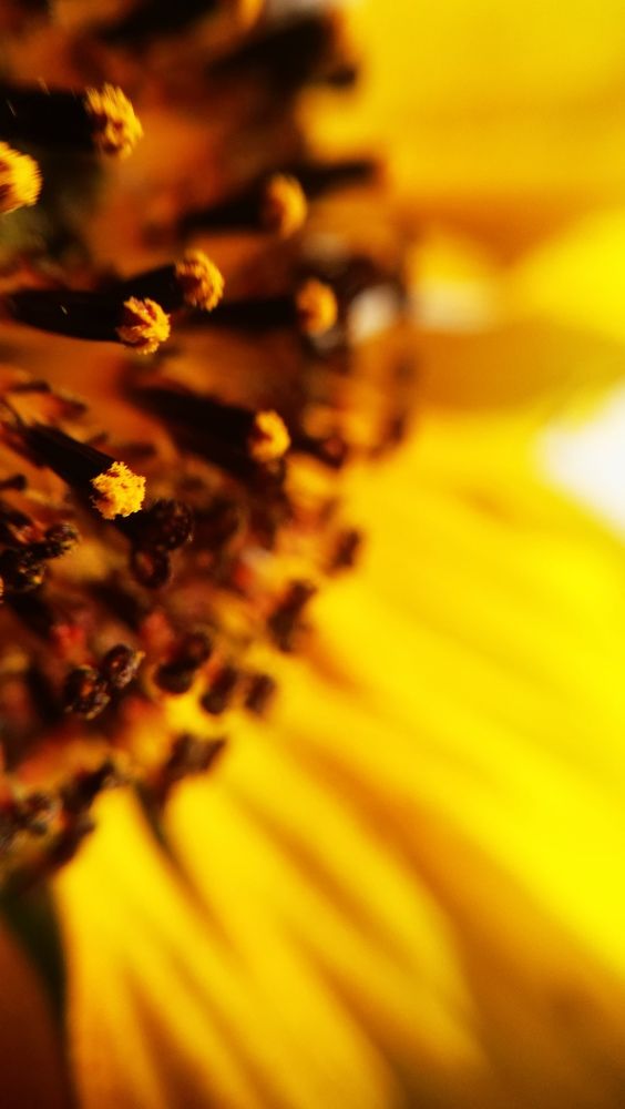 Photograph by Ирина Алпацкая