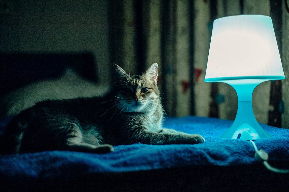 Photograph by Марат Гизатуллин