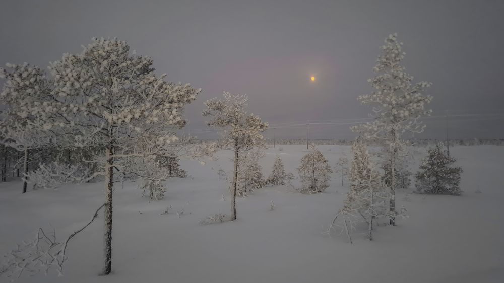 Photograph by Andrew Leshiy