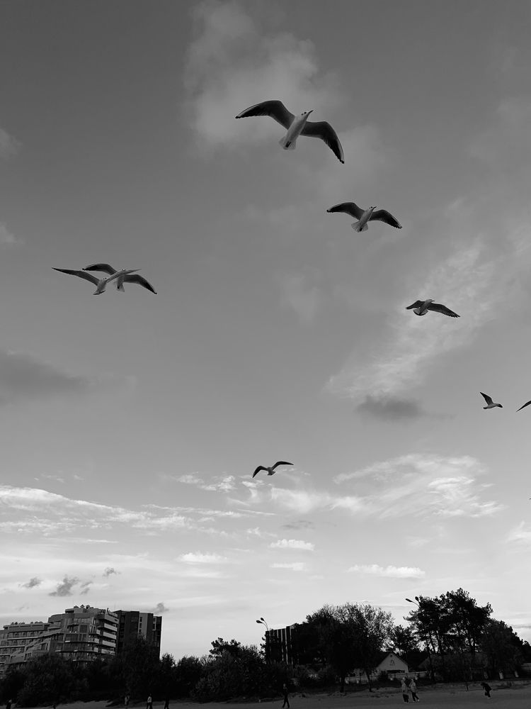 Photograph by Татьяна Гринько