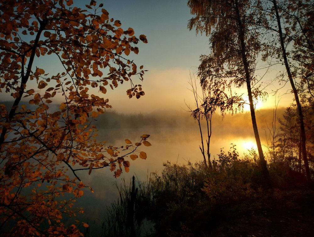 Утро октября.