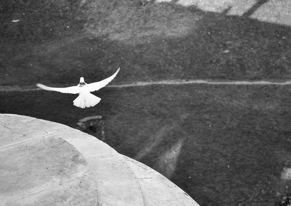 Photograph by Денис Романов