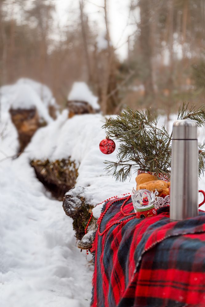 Новогодний натюрморт