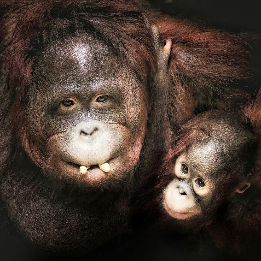 Photograph by Putra Igo