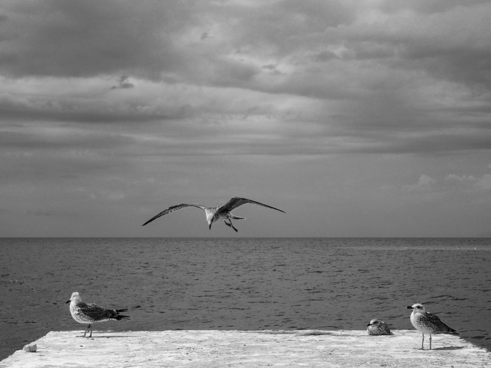 Photograph by Сергей Гаврилов