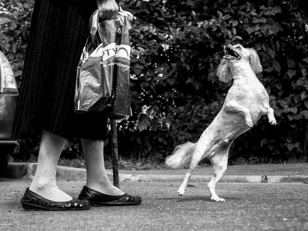 Photograph by Александр Чураков