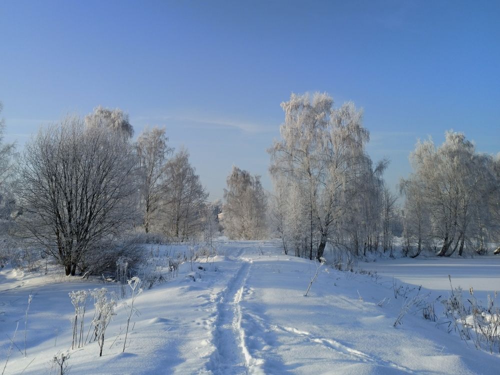 Photograph by Eлена Смирнова