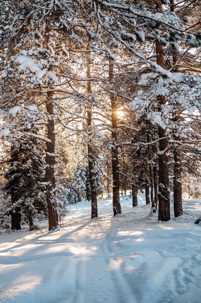 Photograph by Nataly Cook