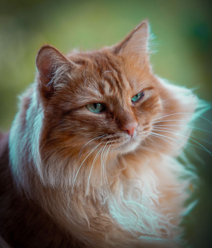 Photograph by Александр Литвиненко