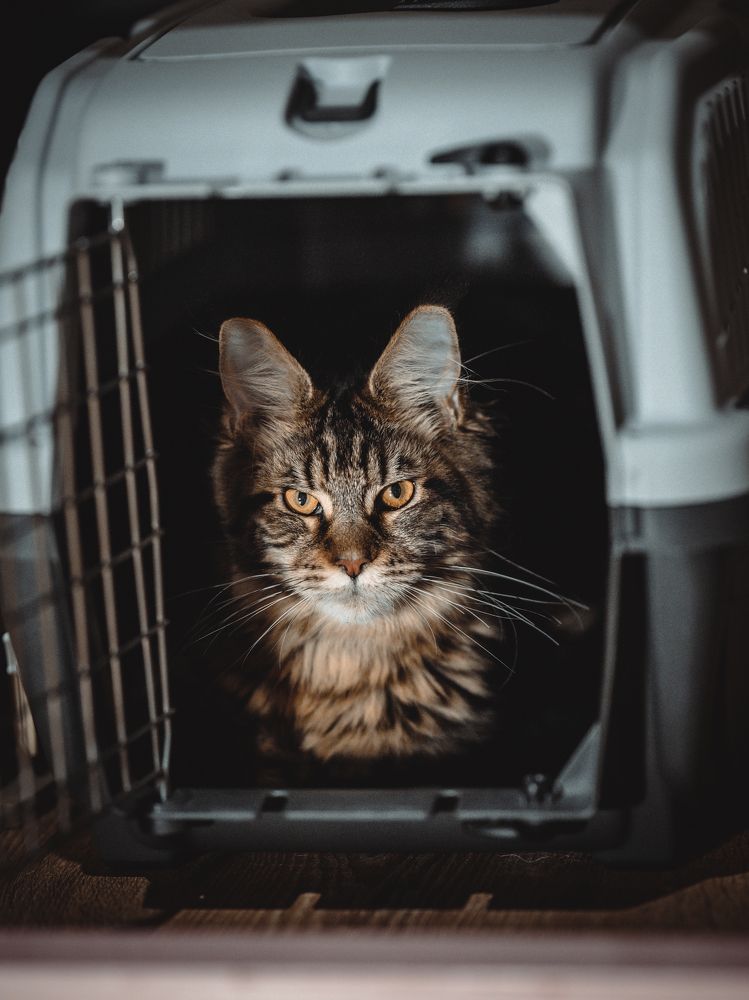 Photograph by Алексей Немчинов