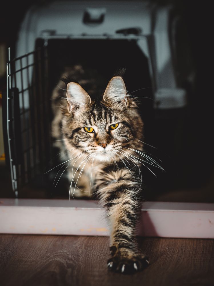 Photograph by Алексей Немчинов