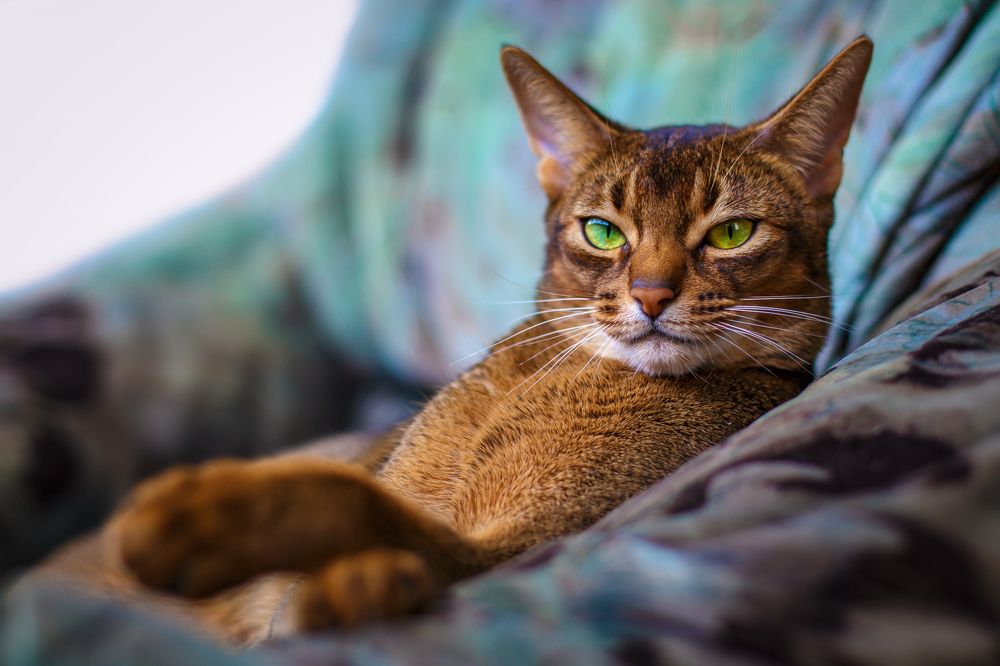 Photograph by Владимир Карпов