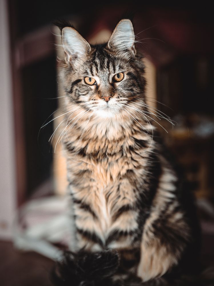 Photograph by Алексей Немчинов