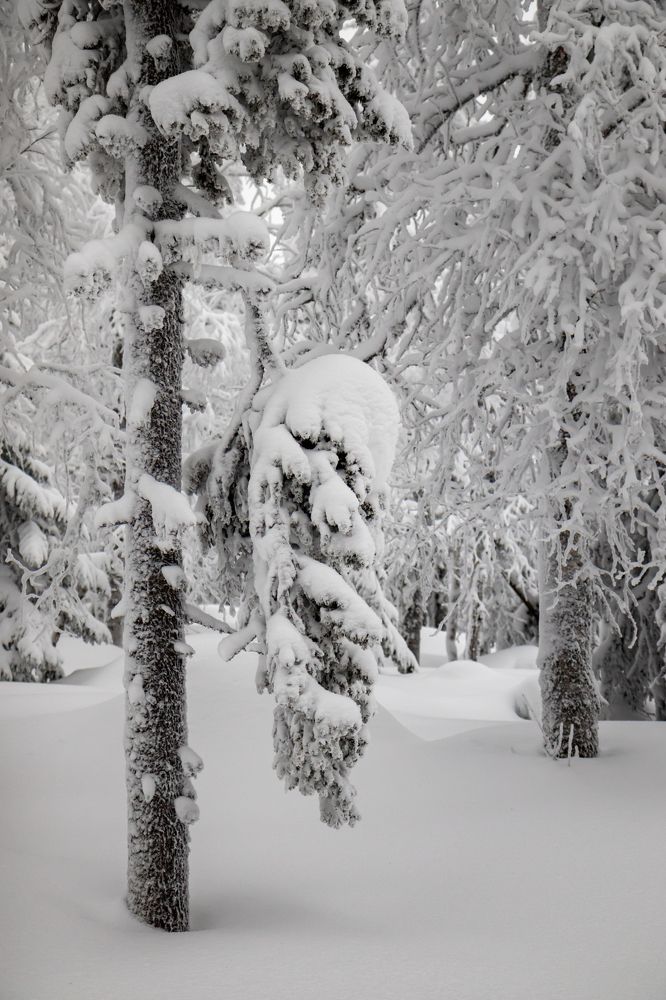 Фотография автора Анастасия Тараканова