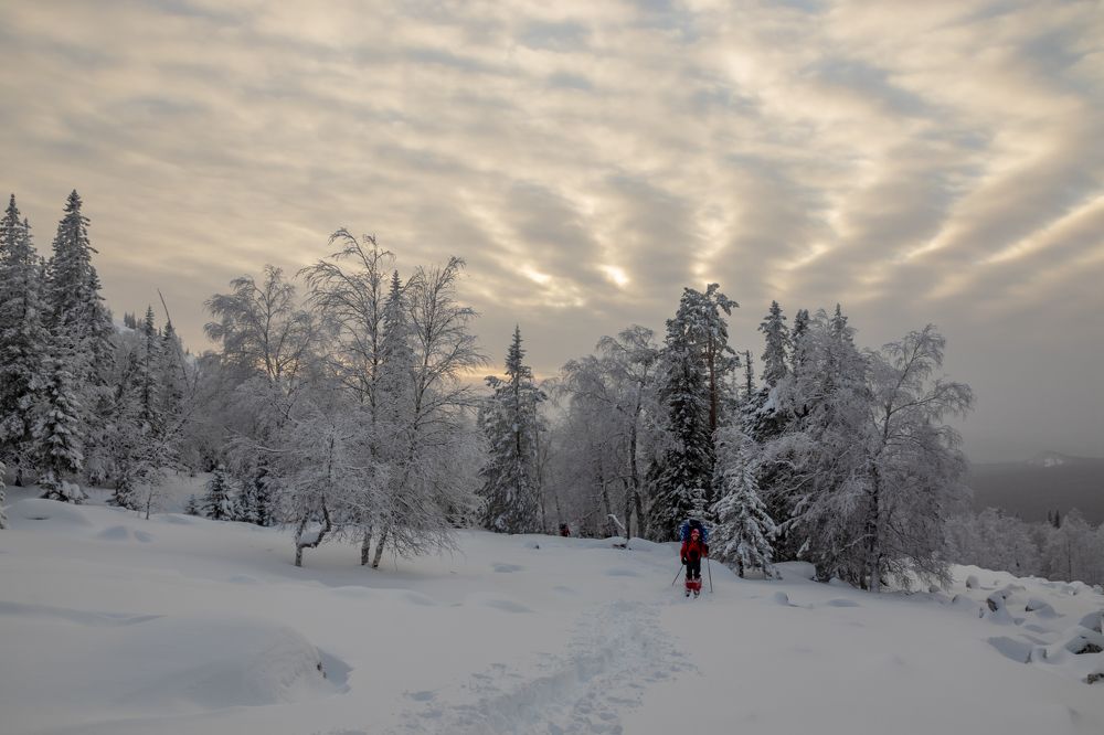 Фотография автора Анастасия Тараканова