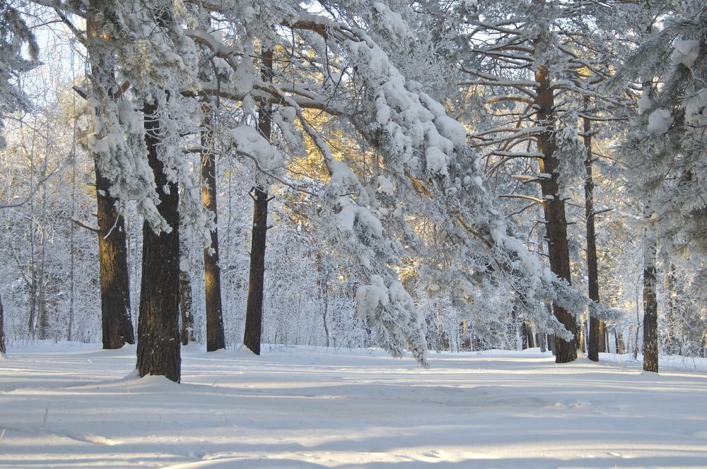 Photograph by Владимир Рандин