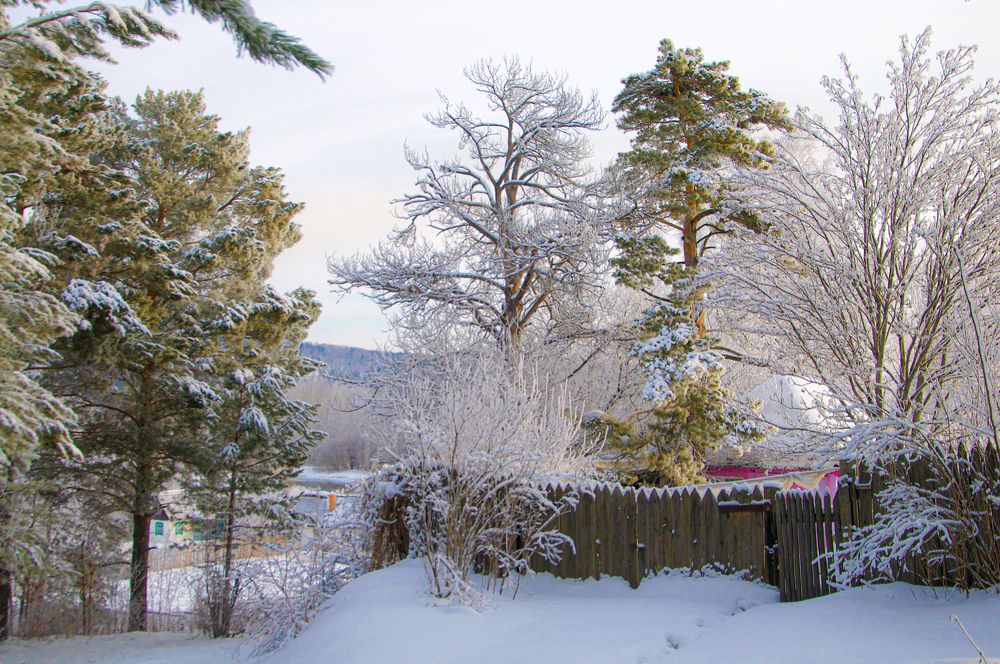 Photograph by Владимир Рандин