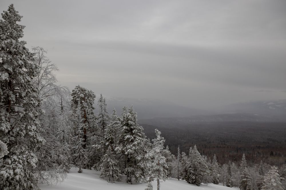 Фотография автора Анастасия Тараканова